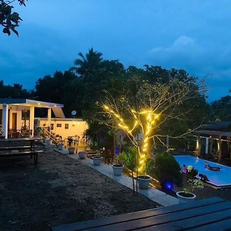 Lily Resort 达瓦拉维 外观 照片