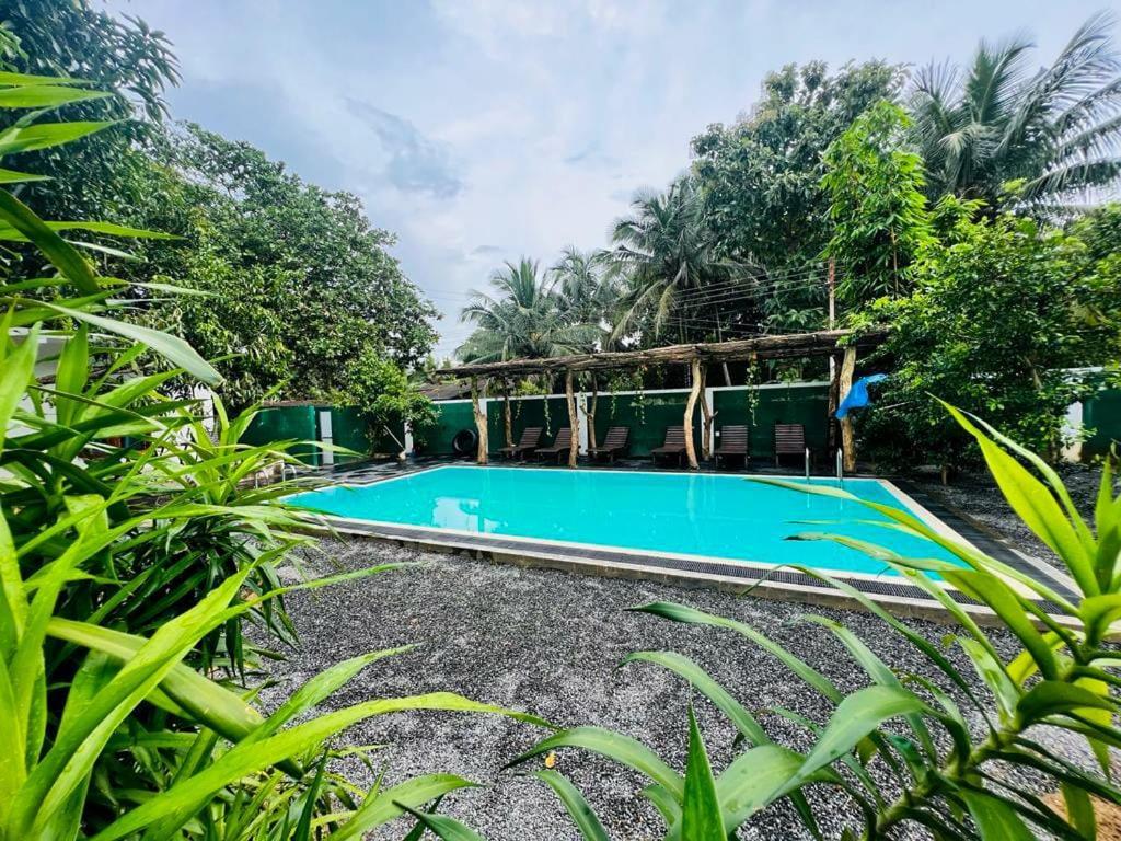 Lily Resort 达瓦拉维 外观 照片