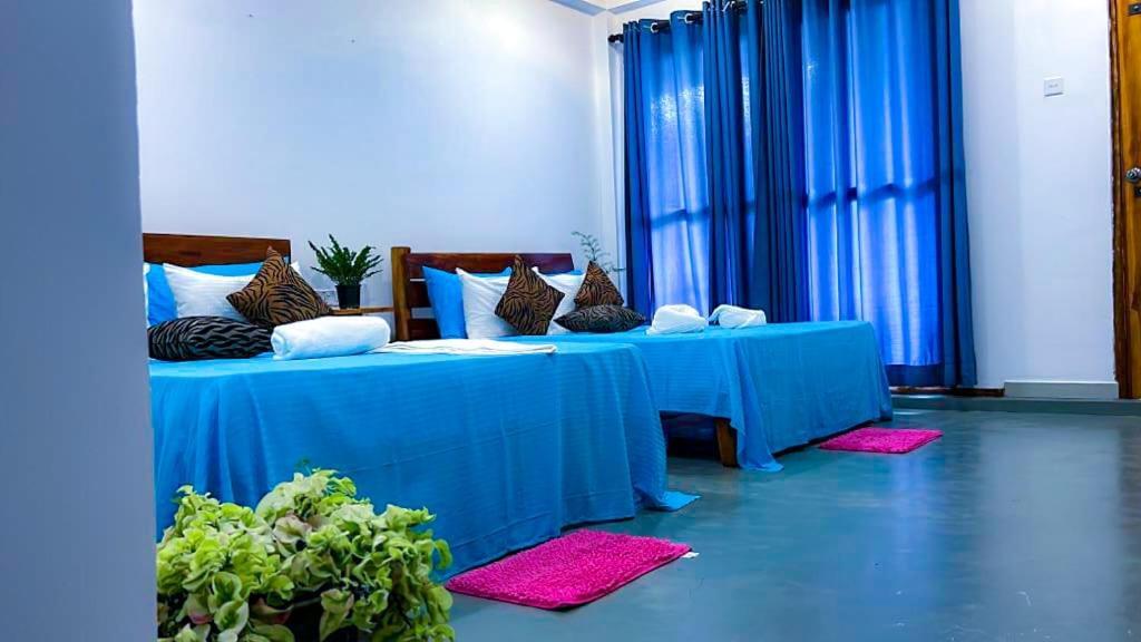 Lily Resort 达瓦拉维 外观 照片